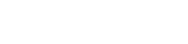 AIESEC UI